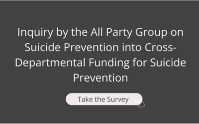 APG on Suicide Prevention – Call for Evidence