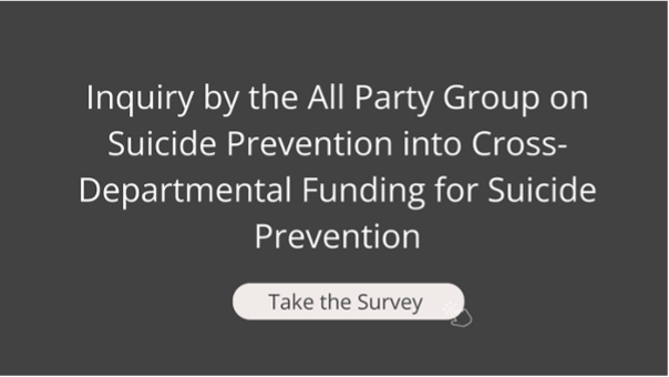 APG on Suicide Prevention – Call for Evidence